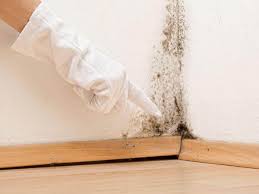 Professional Mold Prevention & Removal  in Aberdeen, MD